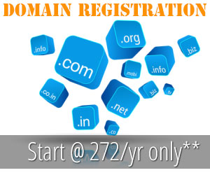 Domain Registration